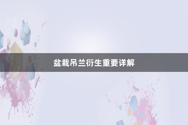 盆栽吊兰衍生重要详解