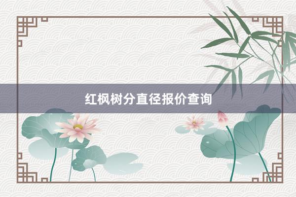 红枫树分直径报价查询