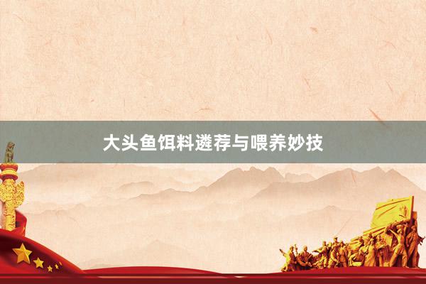 大头鱼饵料遴荐与喂养妙技